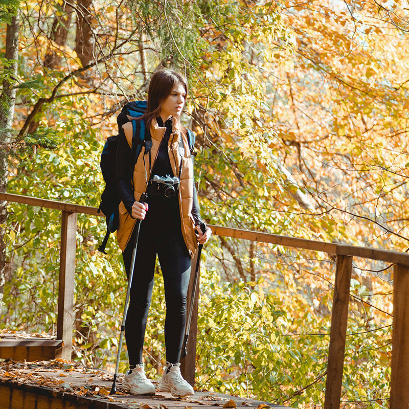 Avatar Jana Dvořáková